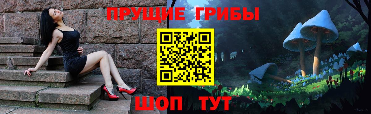 Псилоцибиновые грибы Cubensis  Вход с VPN  Магадан 